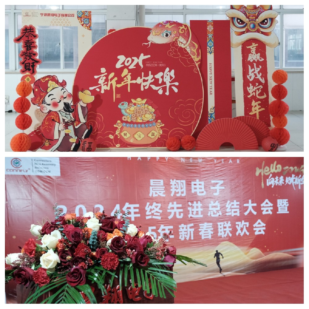 晨翔電子2024年終先進總結大會暨2025年新春聯(lián)歡會圓滿落幕！